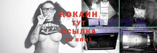 индика Балабаново