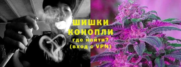 индика Балабаново