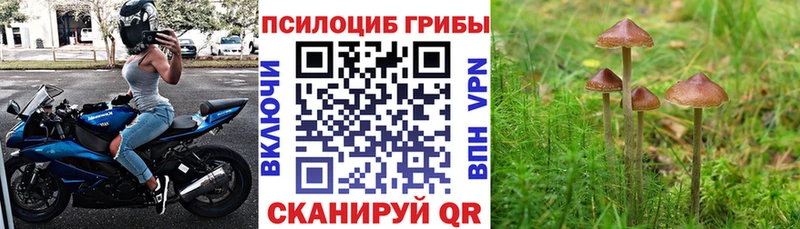 Галлюциногенные грибы Magic Shrooms  Гаврилов-Ям 